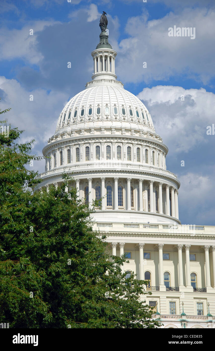 Außenansicht des US Capitol in Washington, D.C. mit schönen blauen Himmel im Hintergrund Stockfoto