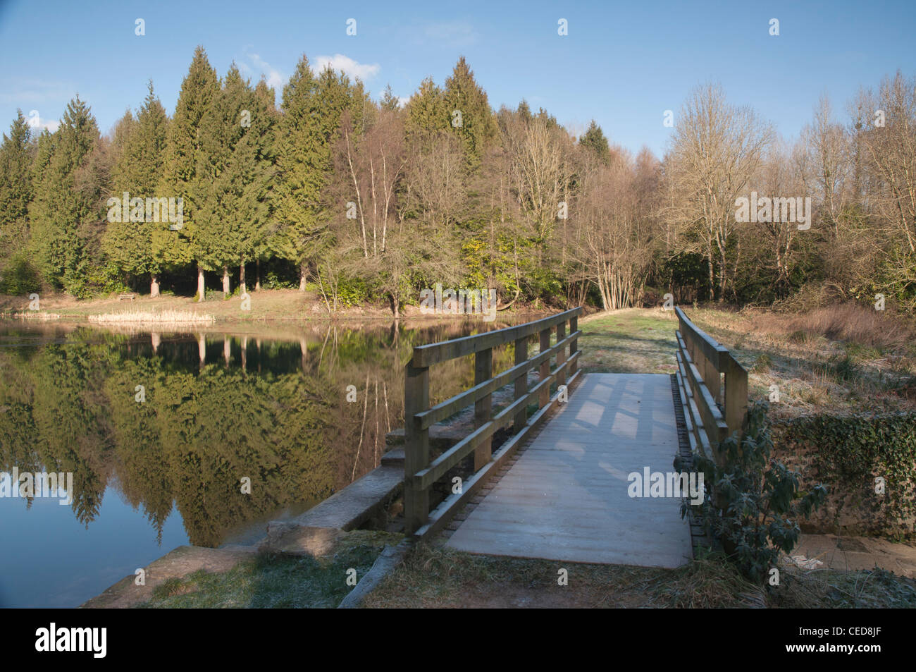 Waldsee in Wintersonne mit Reflexionen von Nadelbäumen Stockfoto