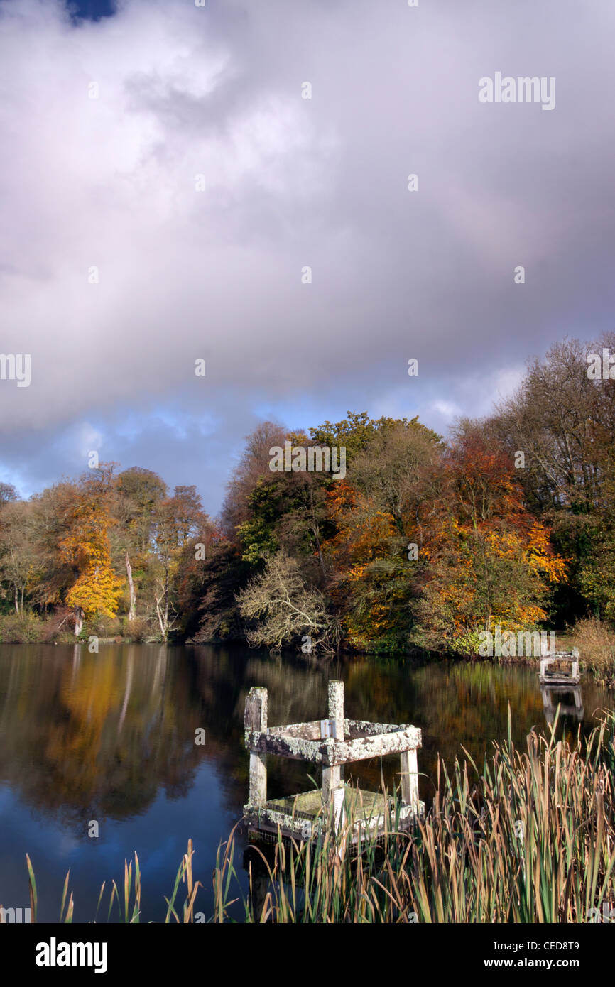 Stilles Wasser und Reflexionen am See in der Nähe von Fonthill in Wiltshire. Stockfoto