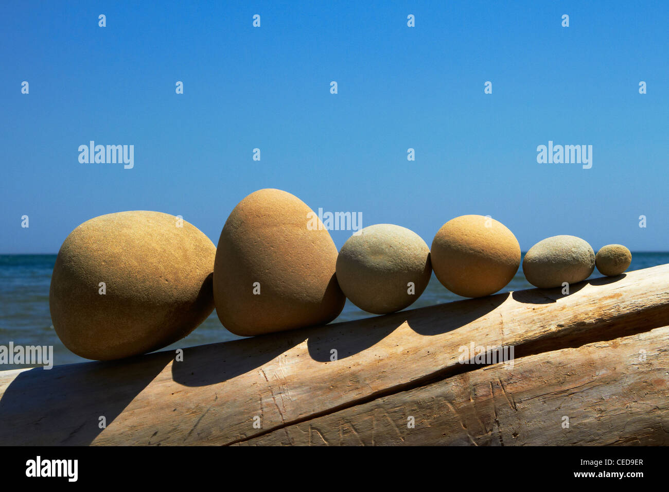 Steinen, aufgereiht auf Treibholz Stockfoto