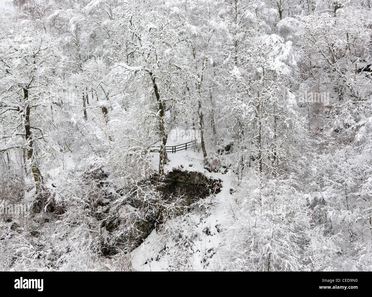 Birks o ' Aberfeldy, Perthsire, Schottland Stockfoto