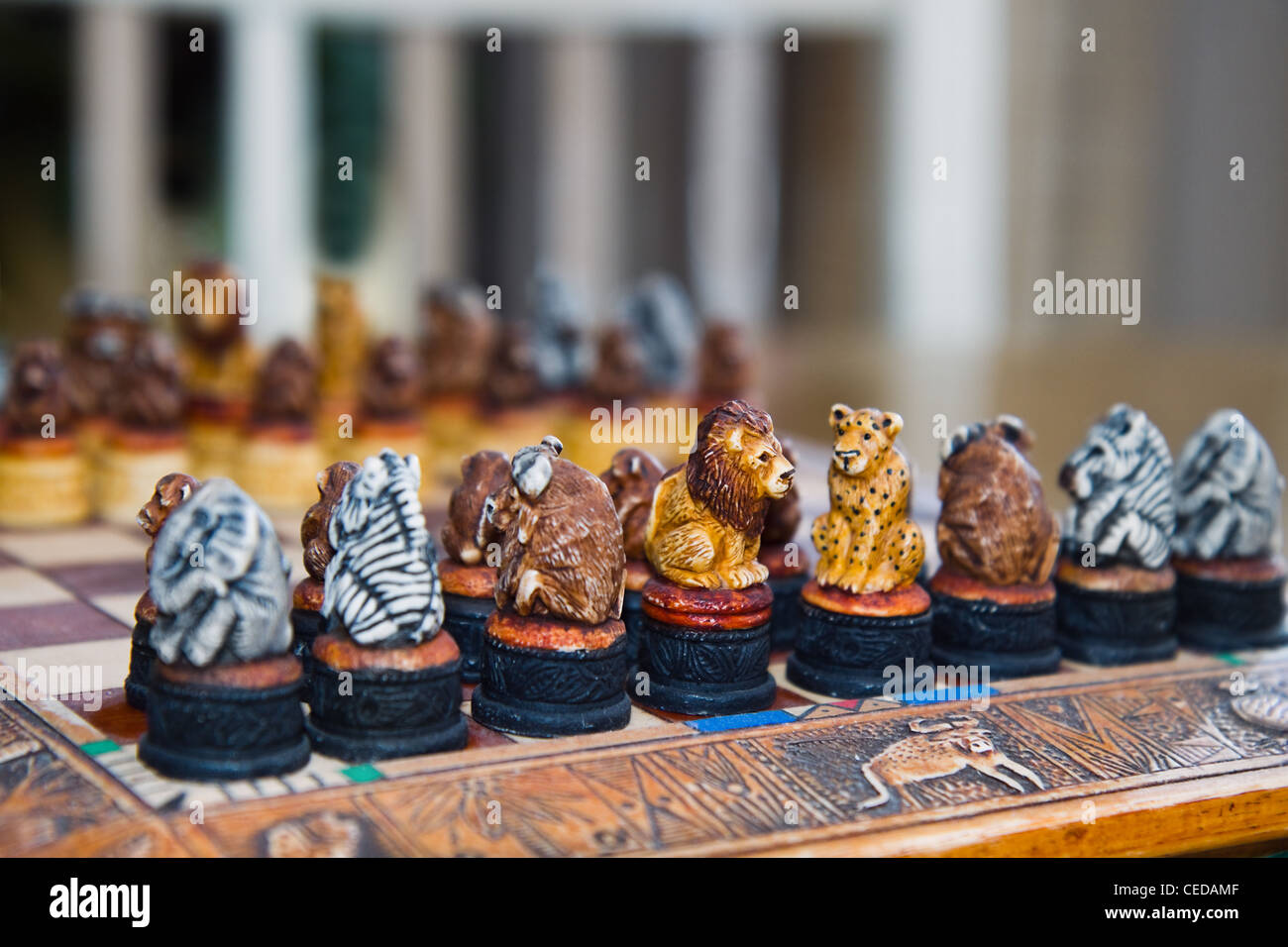 Safari-Schachspiel - Schachbrett und Mann - dekorativ verzierten Schachbrett mit Safari Tierfiguren Stockfoto