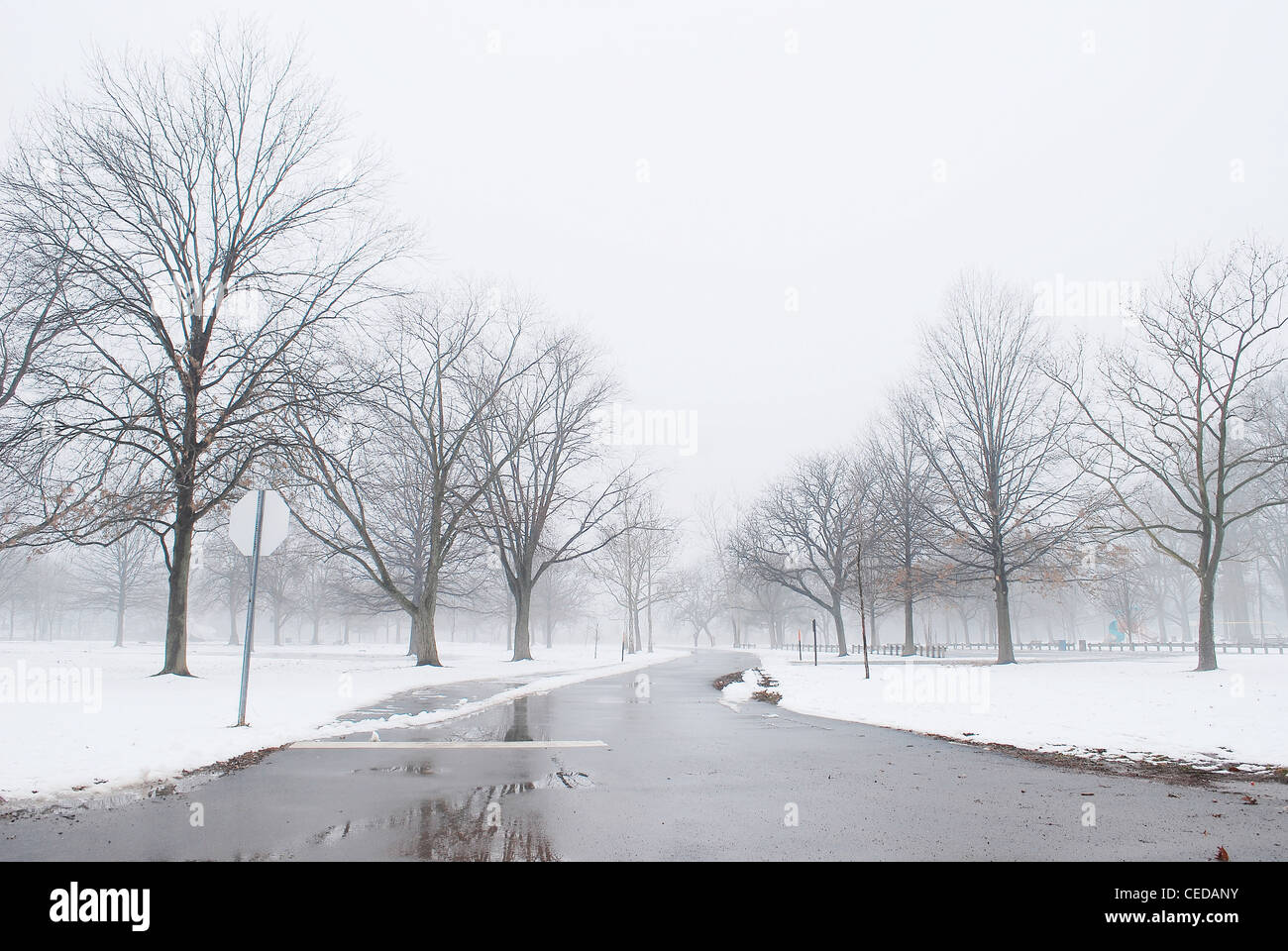 Winter, Nebel, Nebel, Schnee, Straße, Park, Baum, Himmel, Eis, gefroren Stockfoto
