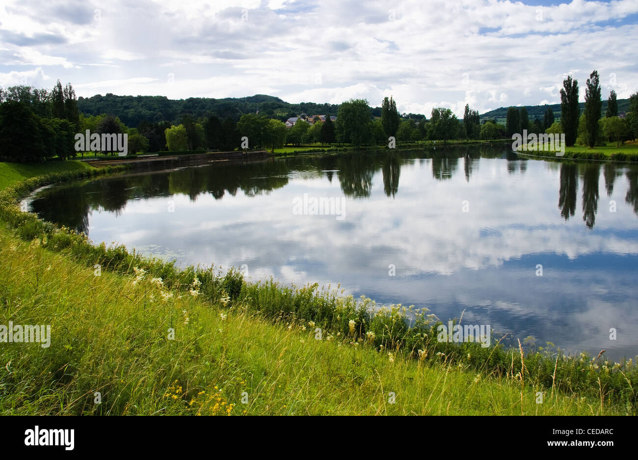 Landschaft-Sommer am Flussufer mit Blumen und Spiegelung im Wasser Stockfoto