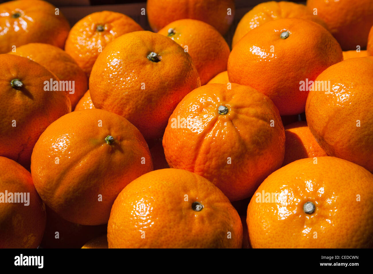 Jaffa orangen Fotos und Bildmaterial in hoher Auflösung Alamy