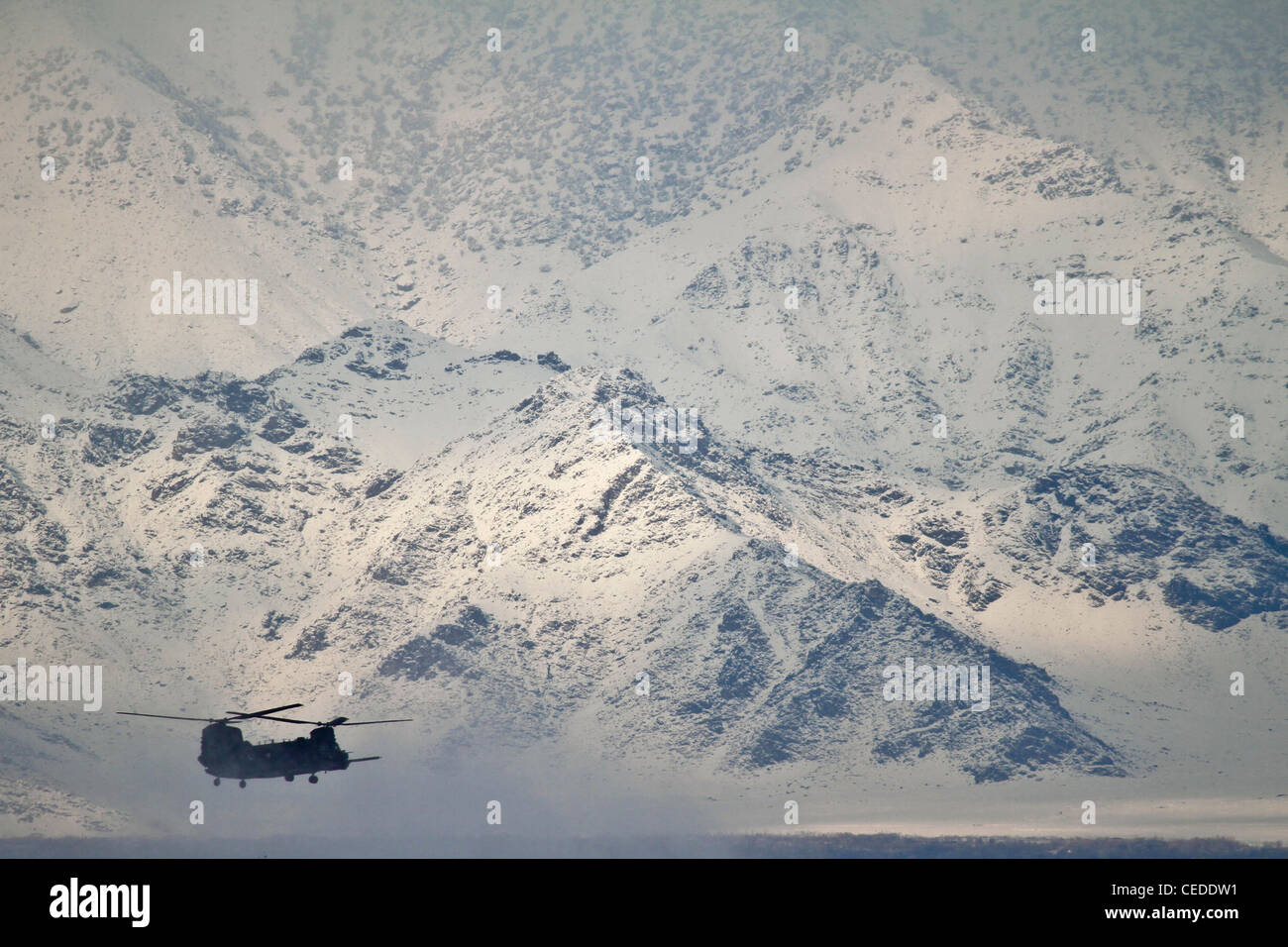 US Army CH-47 Chinook schwere abheben Helikopter nimmt aus einer verschneiten Landschaft Februar 4, 2012 von Bagram Air Field, Afghanistan. Die Chinooks sind das primäre "Arbeitspferd" zu allen Jahreszeiten in Afghanistan zur Unterstützung der Kriegsanstrengungen der USA. Stockfoto