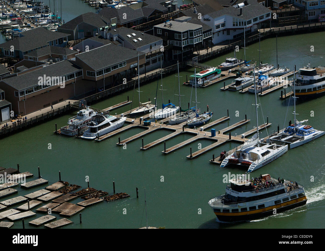 Luftaufnahme Alcatraz Fähre verlassen Fishermans Wharf San Francisco Stockfoto