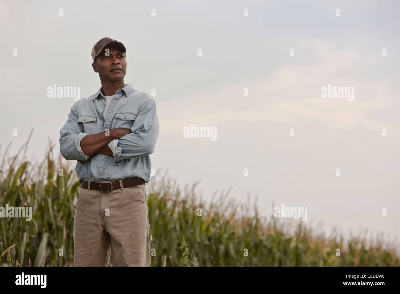 Afrikanische amerikanischer Mann, der im Feld mit Armen gekreuzt Stockfoto