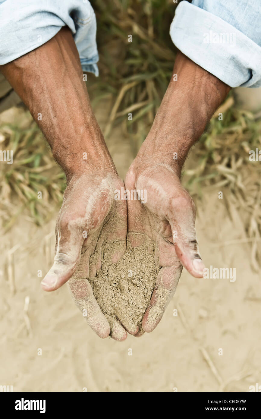 African American Farmer Prüfung Schmutz im Feld Stockfoto