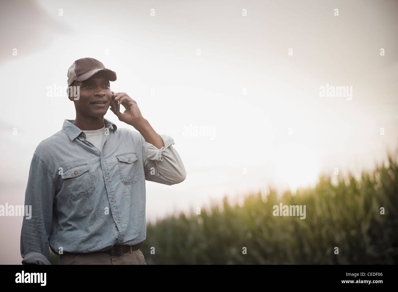Afrikanische amerikanische Bauern reden über Handy im Bereich Stockfoto