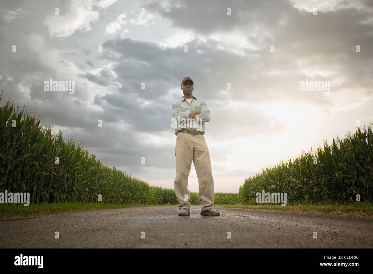 African American Farmer stehen auf der Straße durch Pflanzen Stockfoto