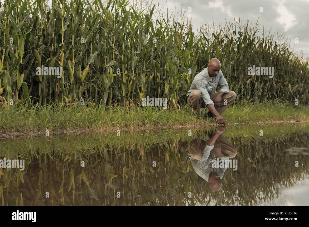 African American Farmer hocken in der Nähe von Wasser und Pflanzen Stockfoto