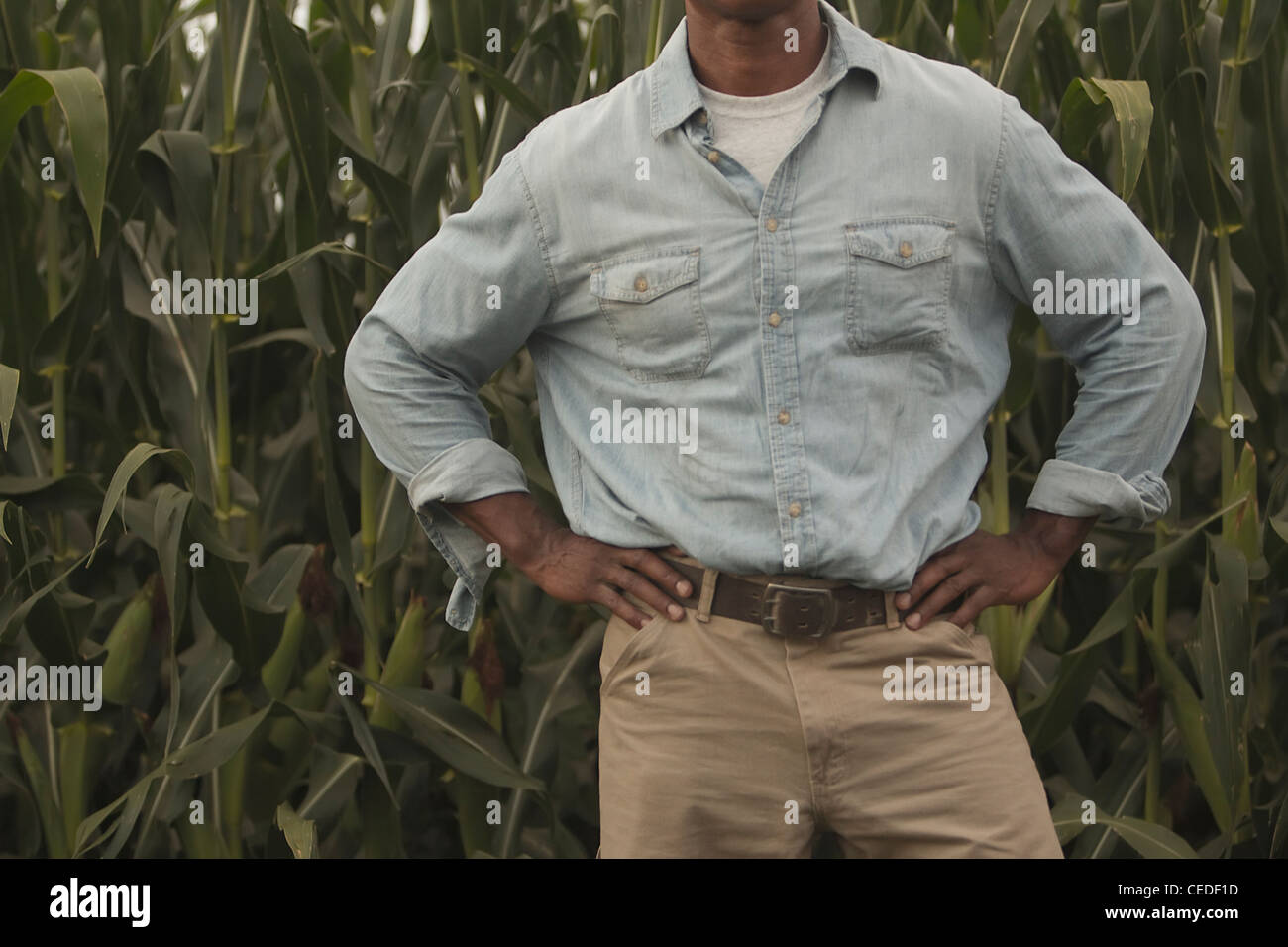 African American Farmer stehend mit Hände auf den Hüften Stockfoto