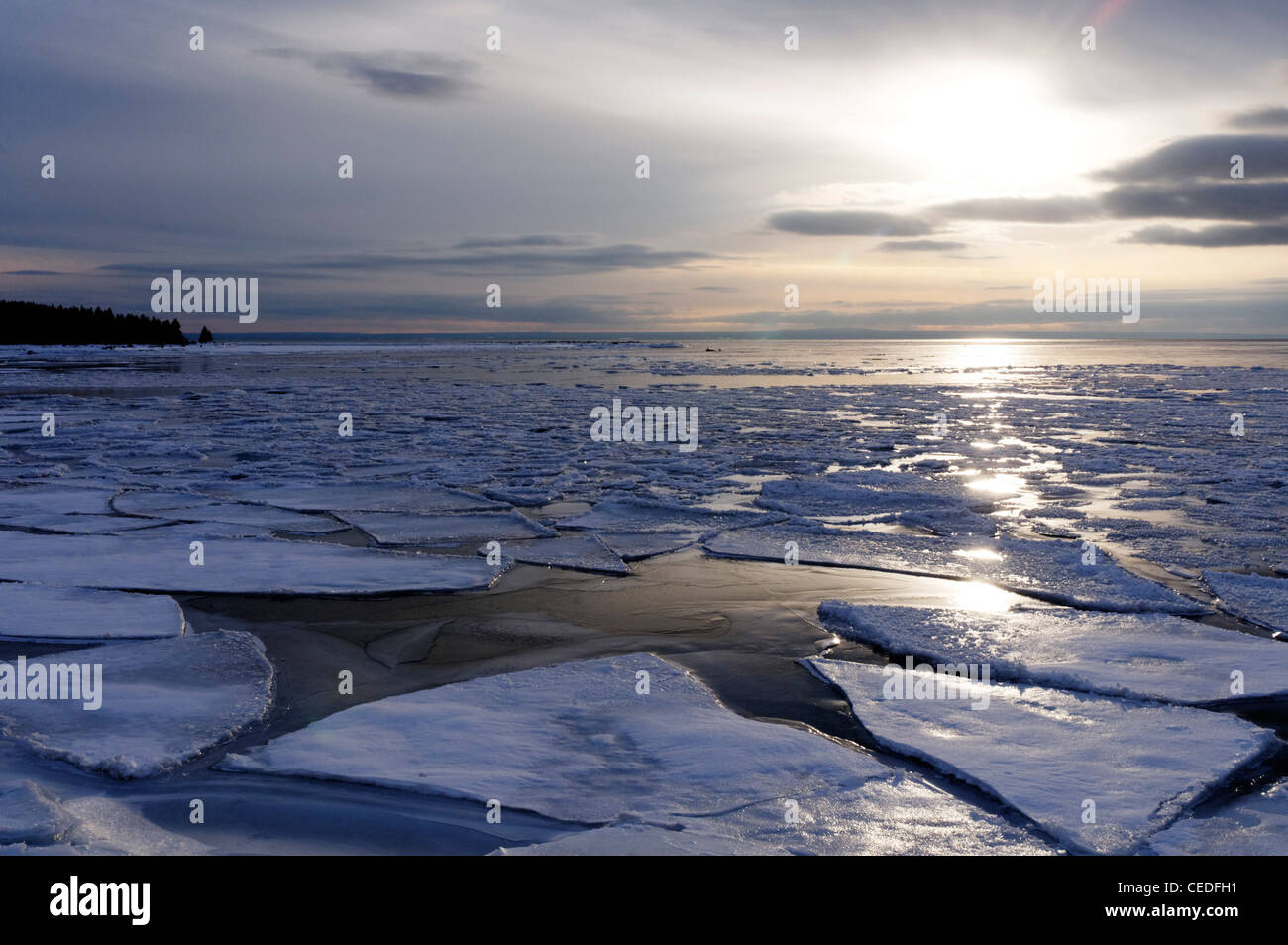 Packeis schwimmend im Meer vor der Küste Gaspesie, Quebec, Kanada Stockfoto