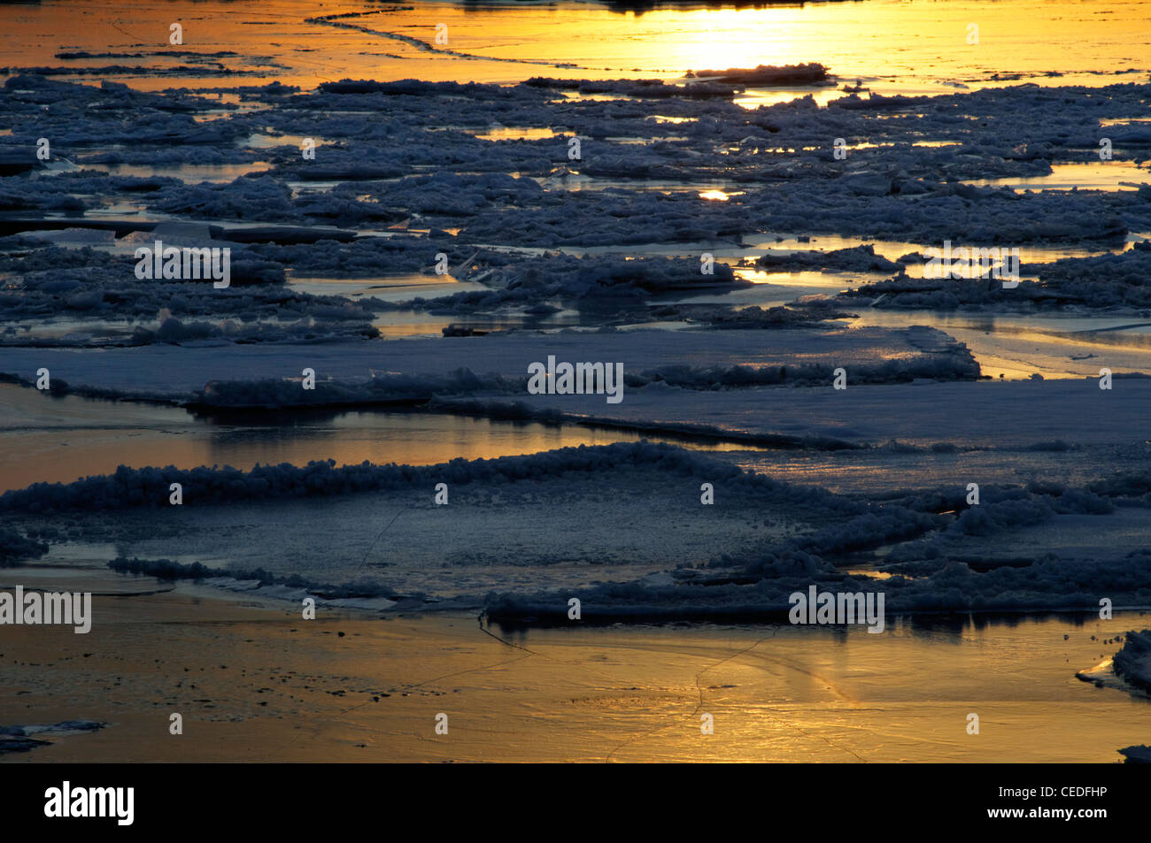 Packeis schwimmend im Meer vor der Küste Gaspesie, Quebec, Kanada Stockfoto