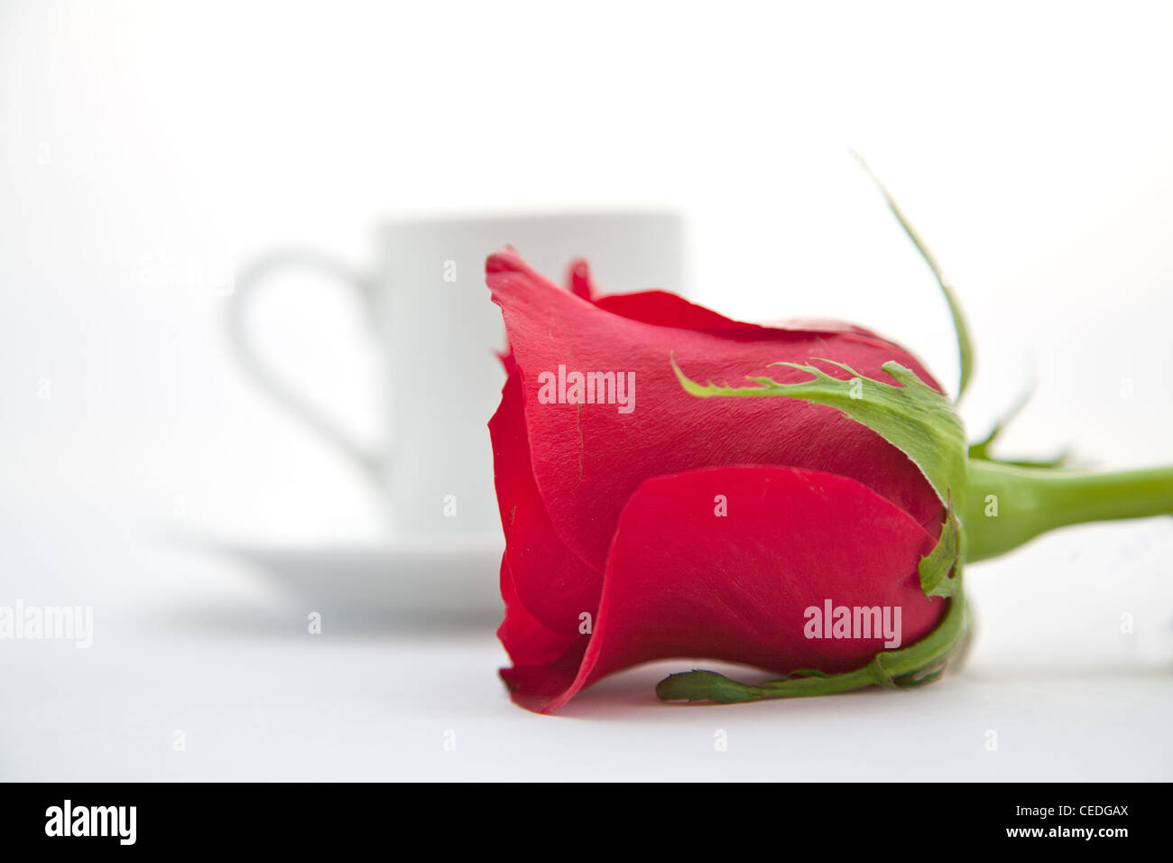 Rote Rosen und weiße Espresso Kaffee Tasse Stockfoto