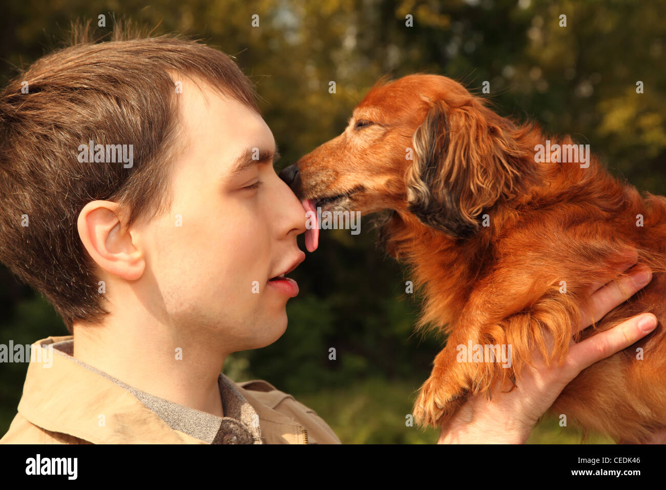 Hund Leckt Sich Ständig Die Nase www.alamy.de
