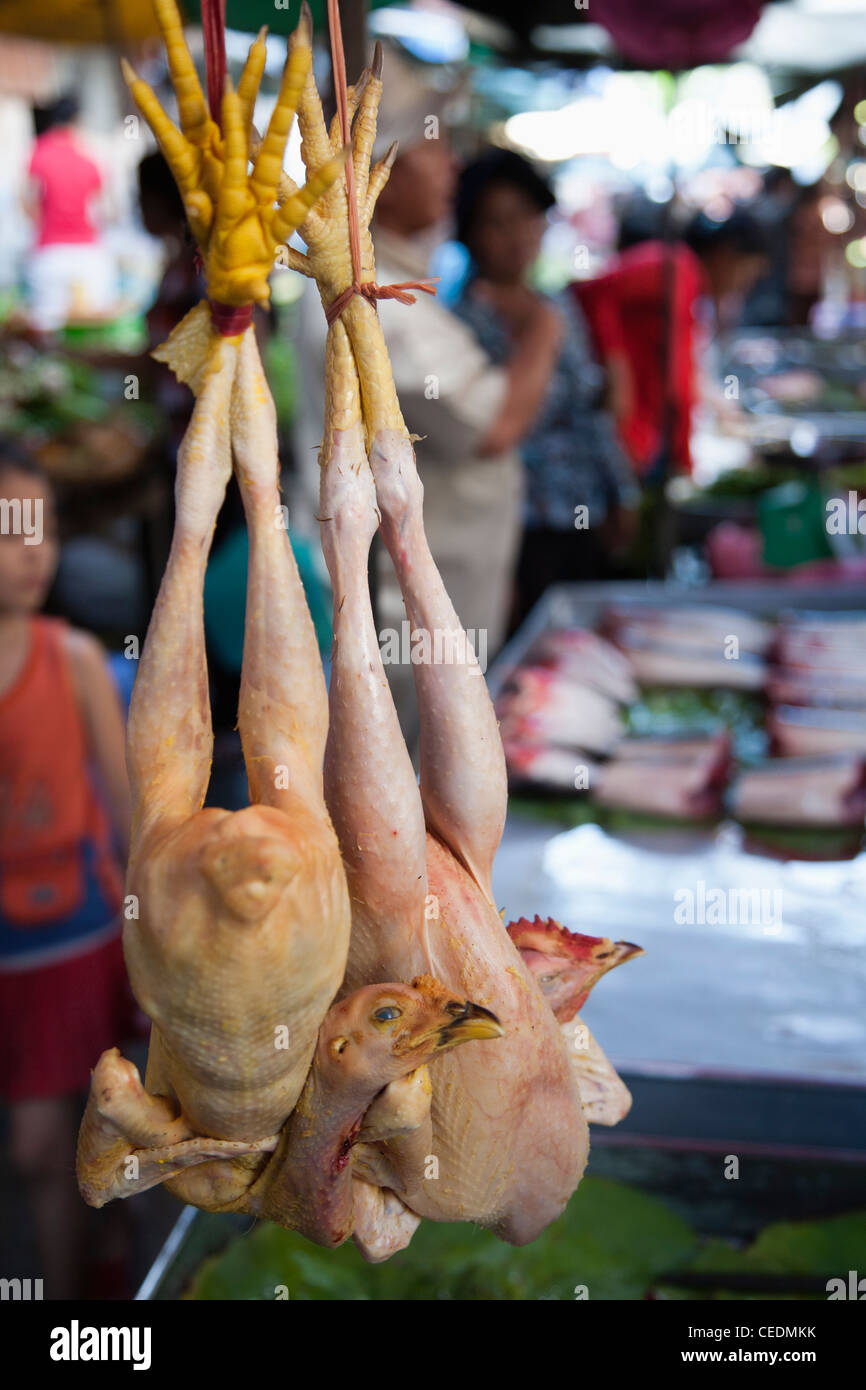 Rohe Hühner hängen im Markt Stockfoto