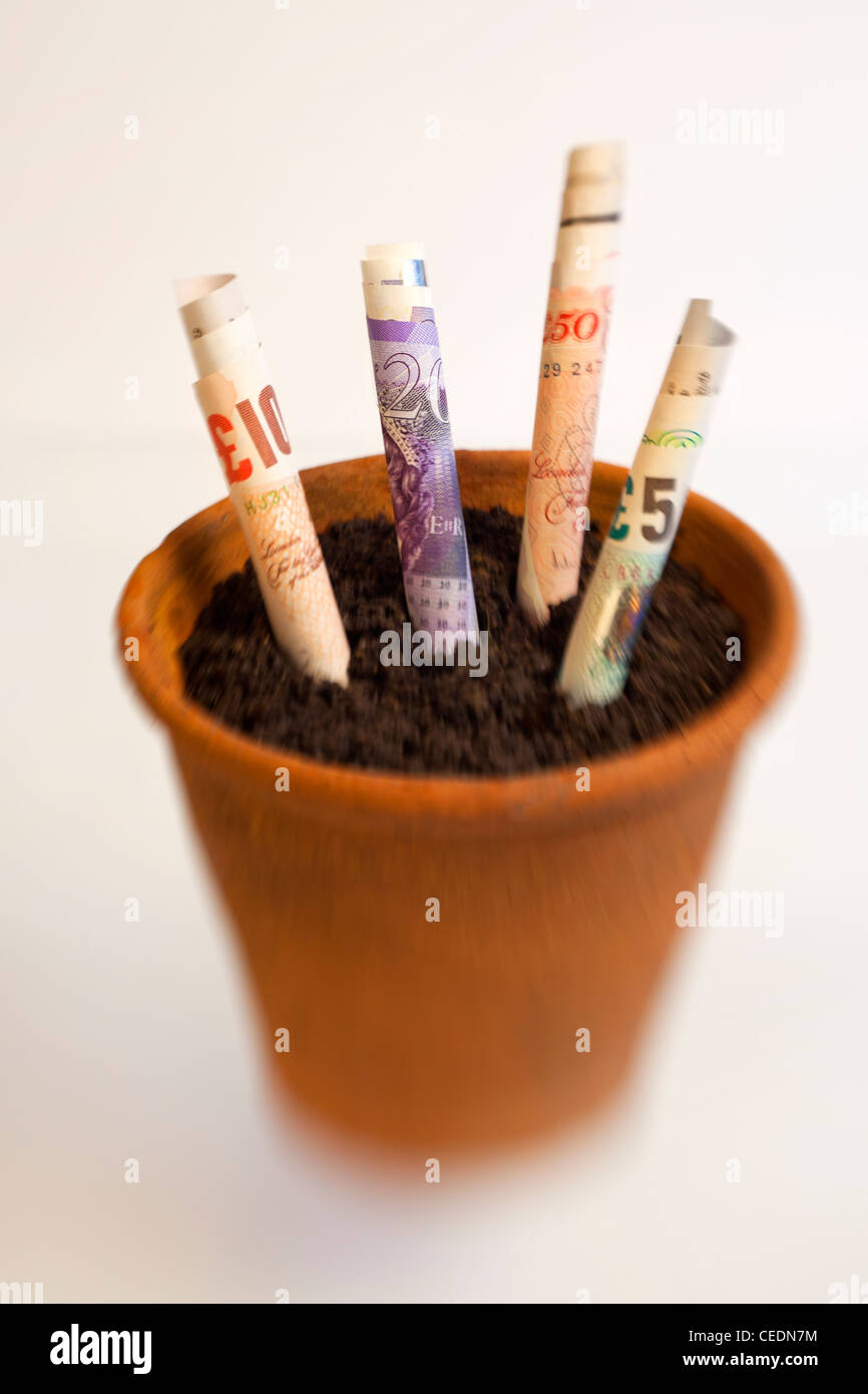 Rollen der englische Sterling Pfund Währung Geld wächst in einem Terrakotta-Topf Stockfoto