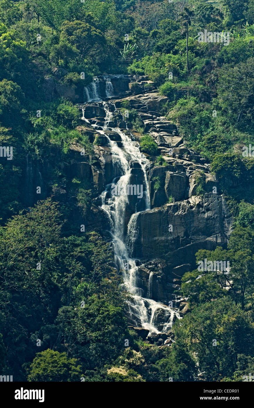 Kleine rawana Fotos und Bildmaterial in hoher Auflösung Alamy