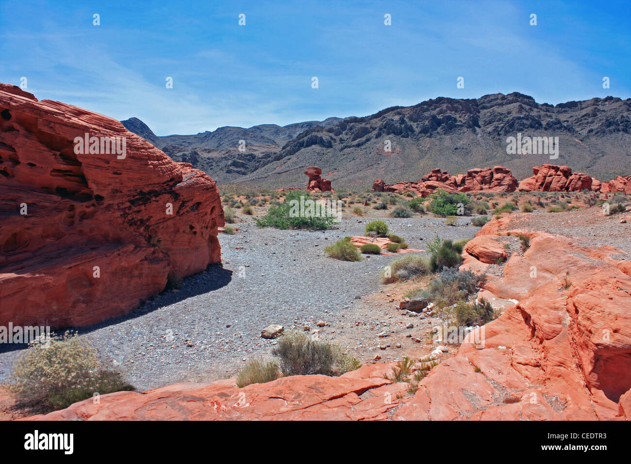 Valley of Fire State Park, Nevada, USA Stockfoto