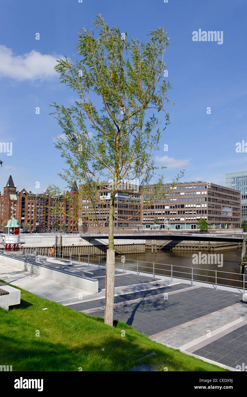 Erholung, Parks und grüne Räume, Infopavillon, Ueberseequartier Viertel HafenCity, Hamburg, Deutschland, Europa Stockfoto