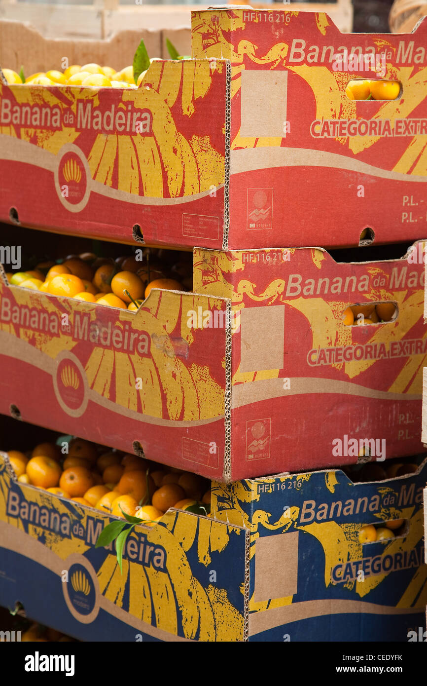 Banane de Madeira  Fällen Frucht Kartonverpackung auf Madeira, Funchal, Portugal Stockfoto