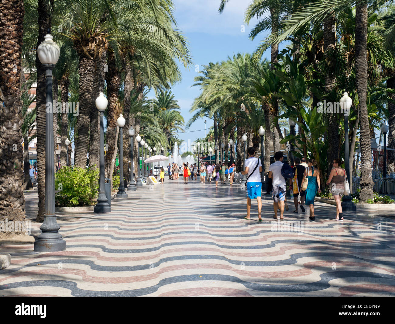 Eine Palmen gesäumten Fußgängerzone in Alicante, Costa Blanca, Spanien. Stockfoto