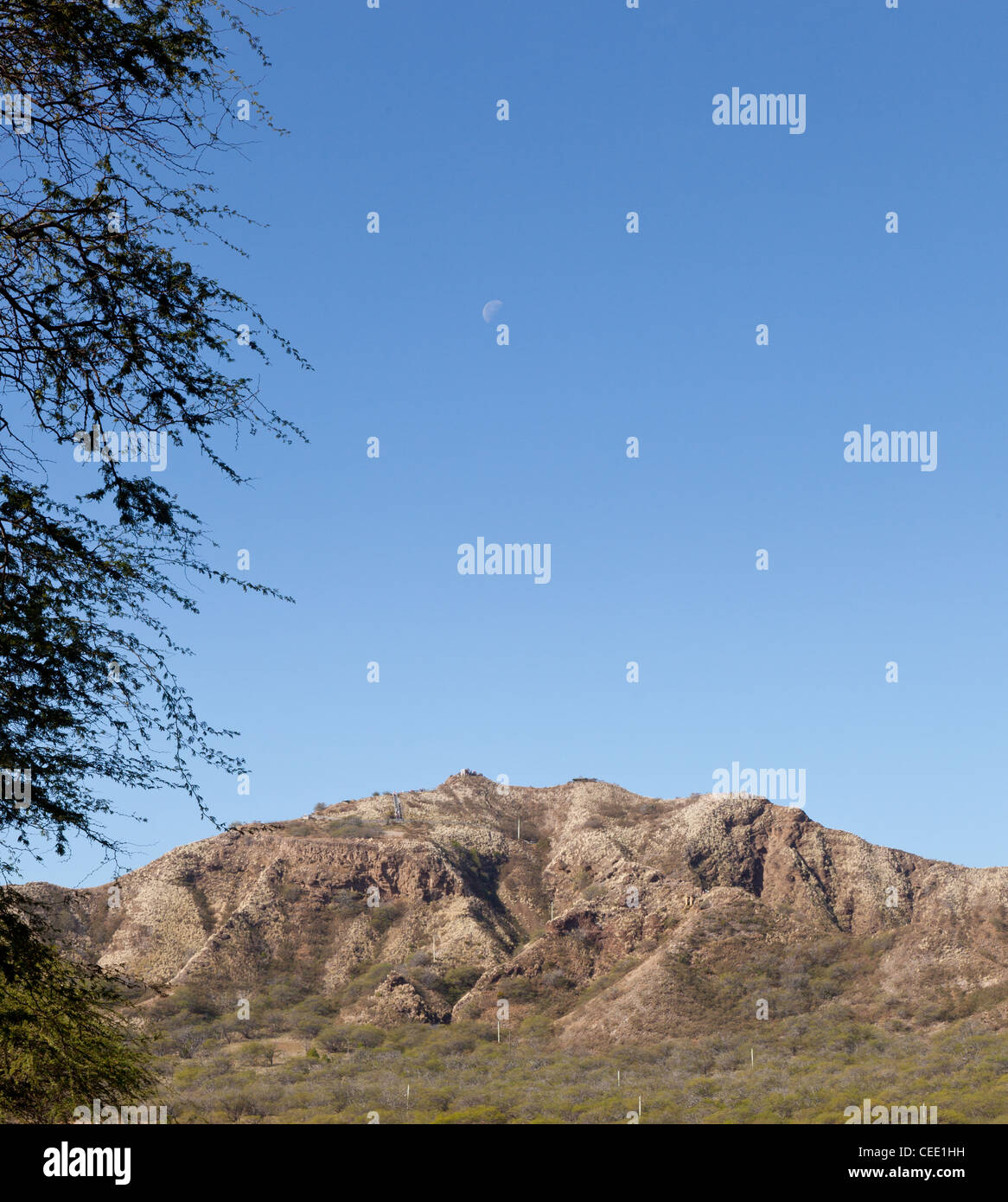 Gipfel des Diamond Head Krater in Waikiki Hawaii aus inneren des Vulkans Stockfoto