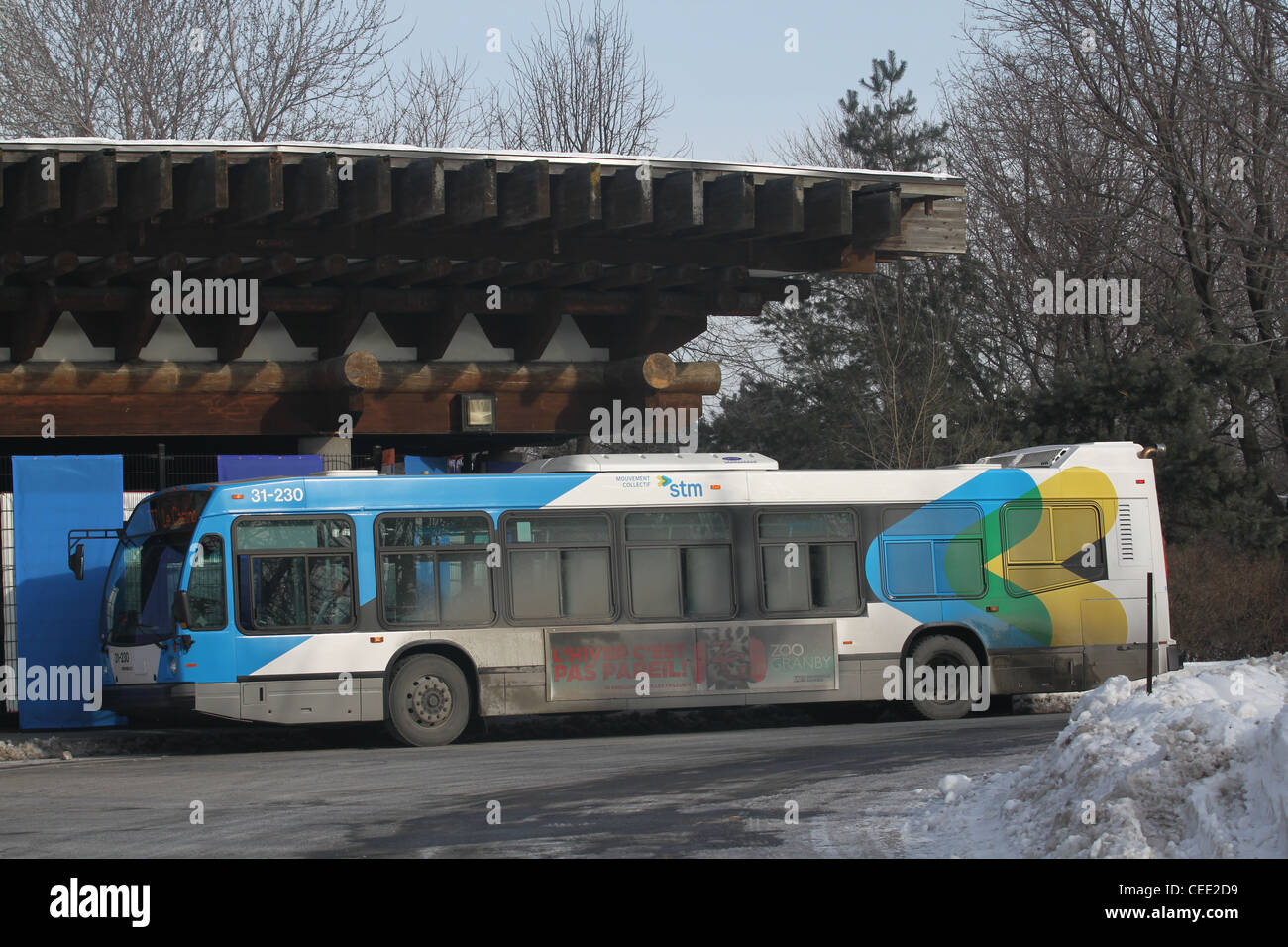Stadtbus im Profil Stockfoto