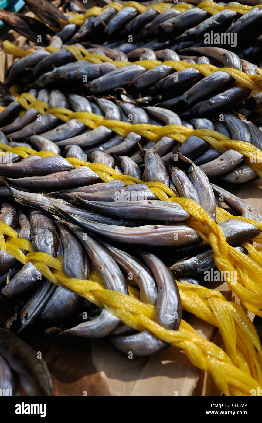 Fisch, geflochten mit gelber Schnur am Jagalchi-Fischmarkt, Busan, Südkorea Stockfoto