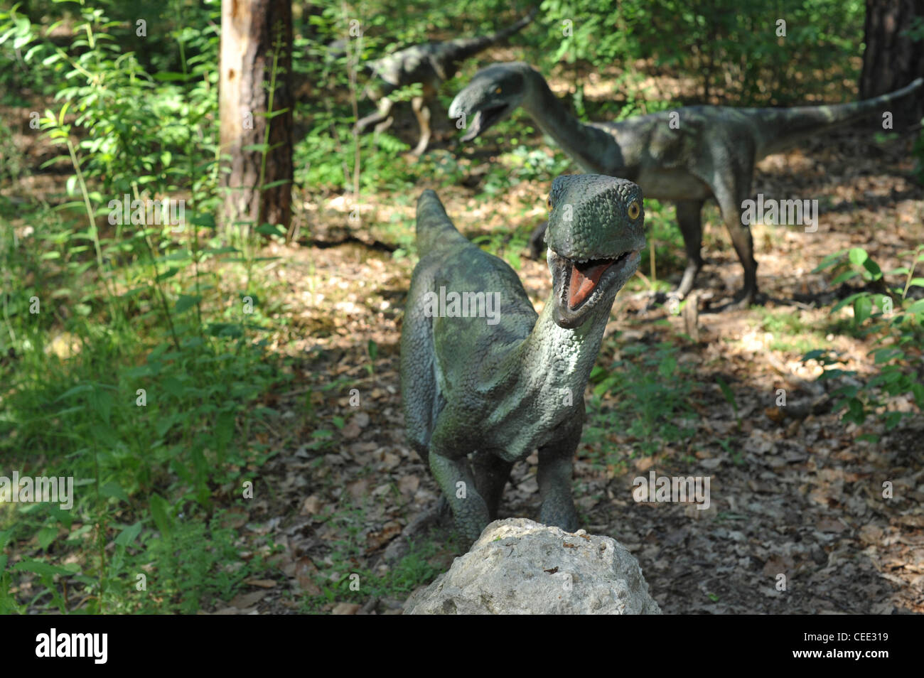 Velociraptor in Waldlandschaft Stockfoto
