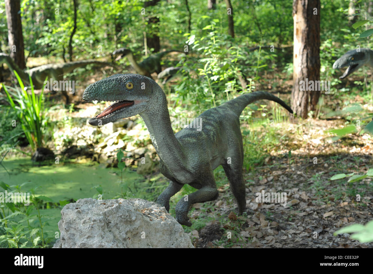 Leben Größe Statue von Velociraptor in Waldlandschaft Stockfoto