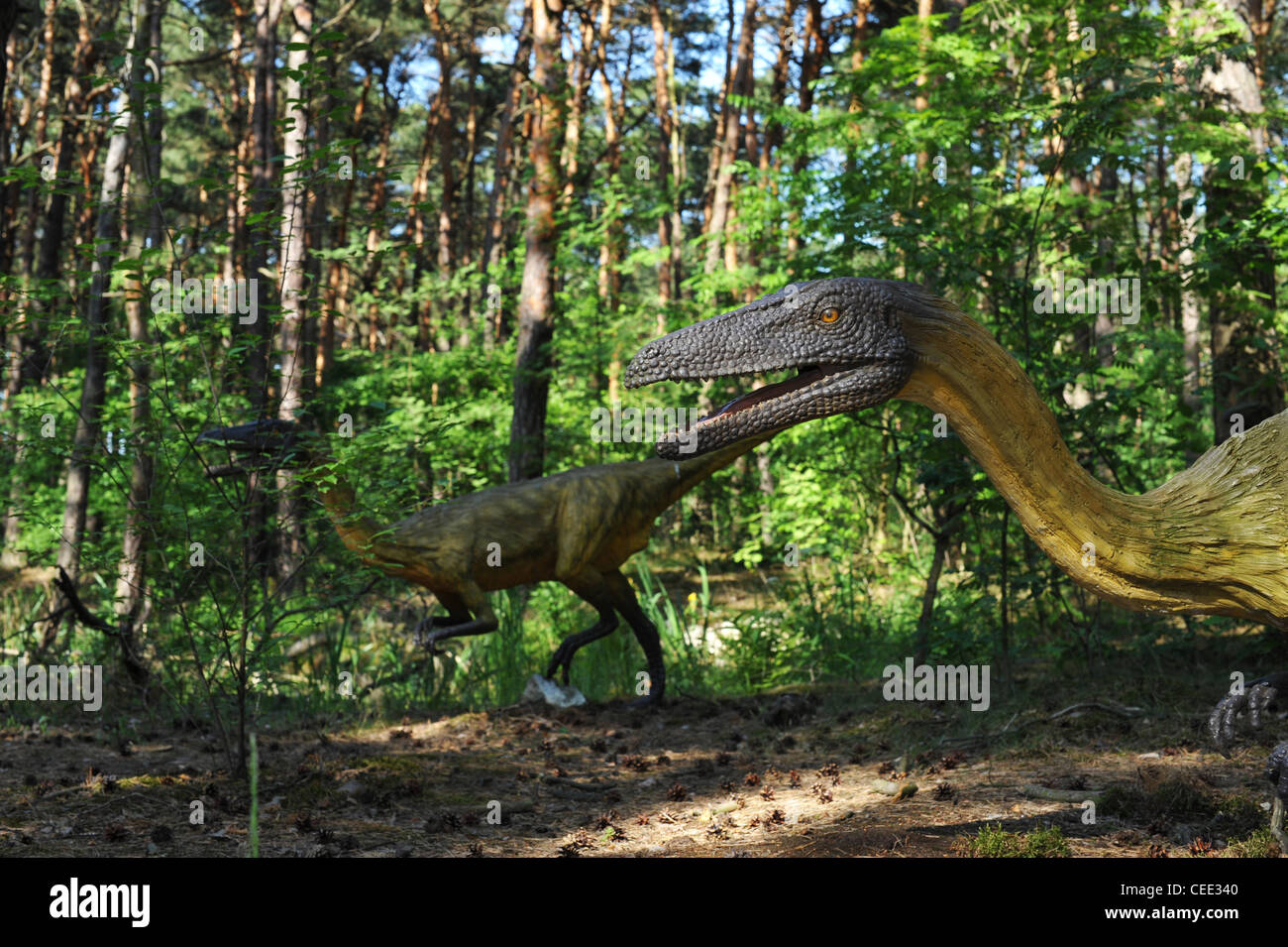 Leben Größe Statue von Velociraptor in Waldlandschaft Stockfoto