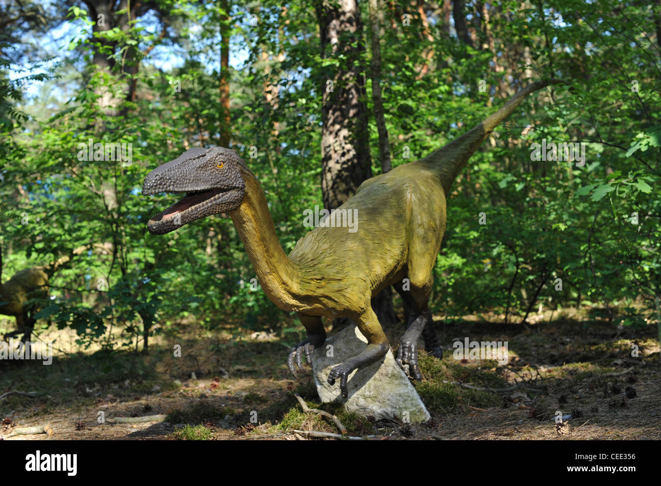 Leben Größe Statue von Velociraptor in Waldlandschaft Stockfoto