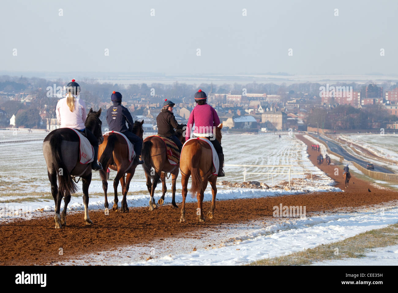 Vier jockeys Pferde reiten auf Newmarket Heide im Winter, Warren Hill Training Ground, Newmarket Suffolk UK Stockfoto
