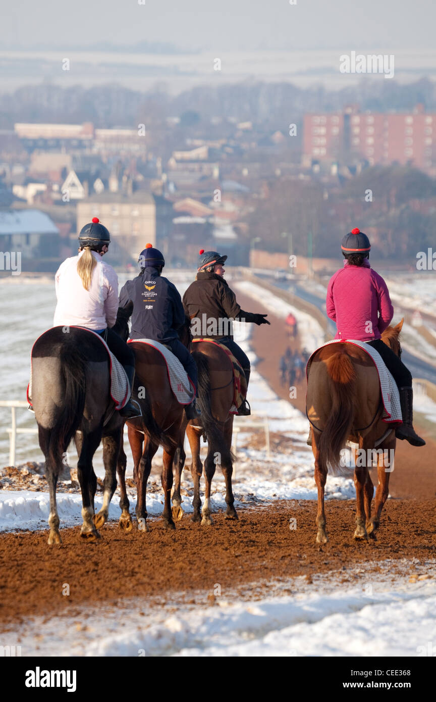 Vier Jockeys und ihre Pferde auf der Heide im Winter, Warren Hill Trainingsgelände, Newmarket Suffolk UK Stockfoto