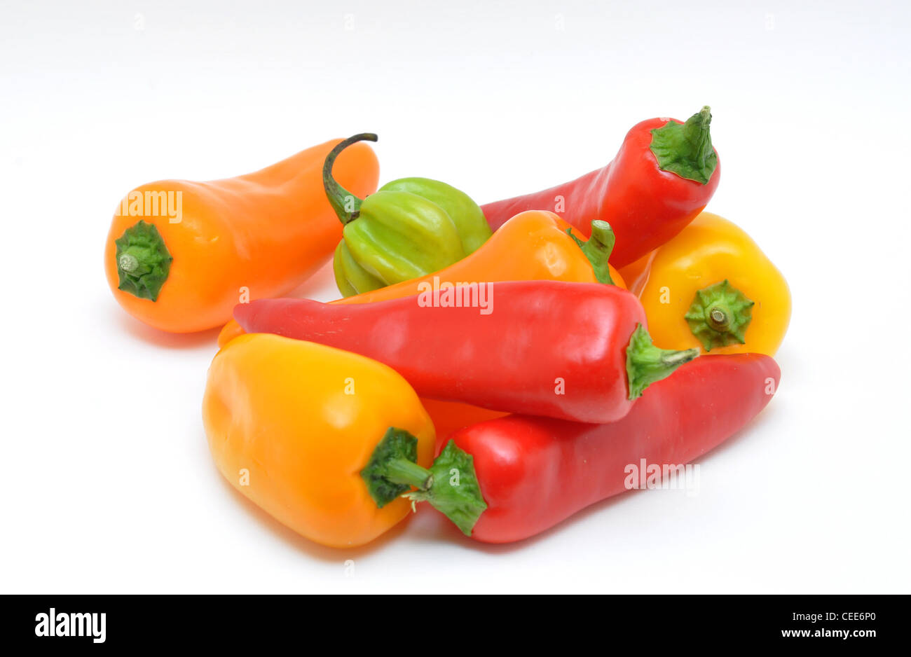 Bunte Paprika Paprika Gattung Stockfoto