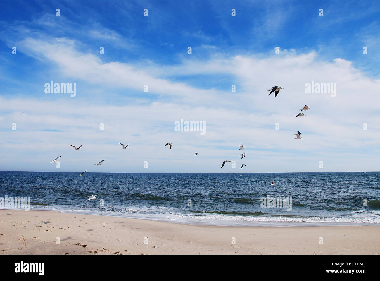 Ozean, Meer, Vögel, Wolken, Landschaft, Sand, Strand, Himmel, blau Stockfoto