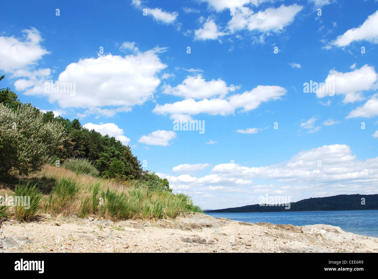 See, Wolken, Sommer, Himmel, blau, Landschaft, Ufer, Baum Stockfoto