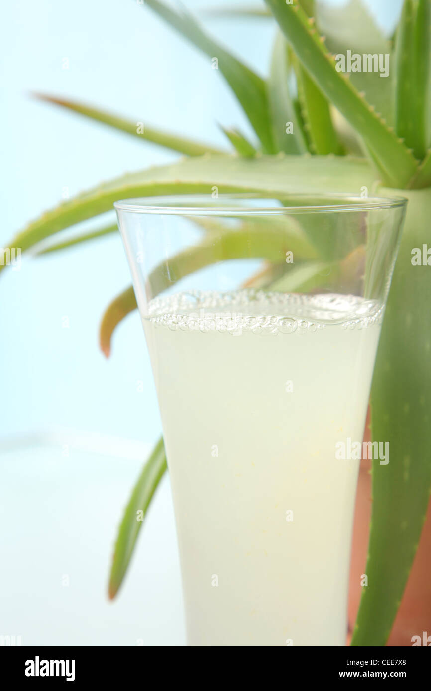 aloe vera klapp KLAPP Skin Natural Aloe Vera Mousse Mask main image 0