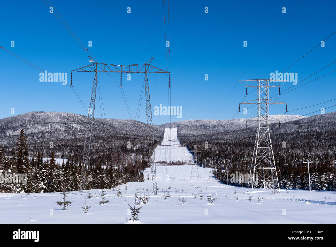 Hydro Quebec Stromleitungen in Camp Mercier. Stockfoto