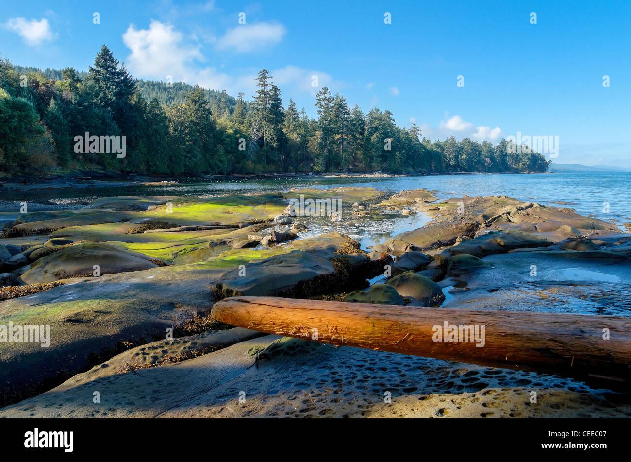 Felsen und Tidepools, Cable Bay, Galiano Island, British Columbia, Kanada Stockfoto