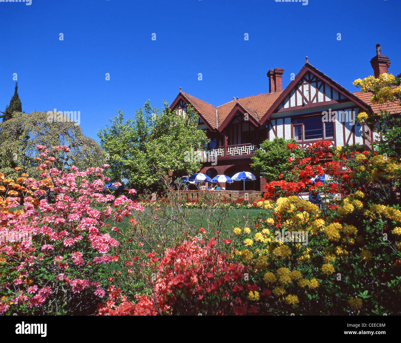 Mona Vale Homestead und Gärten, Fendalton Road, Fendalton, Christchurch, Canterbury Region, Neuseeland Stockfoto