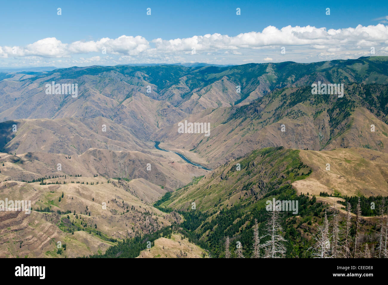 Hells Canyon Blick von Hut Point Lookout Oregon Stockfoto