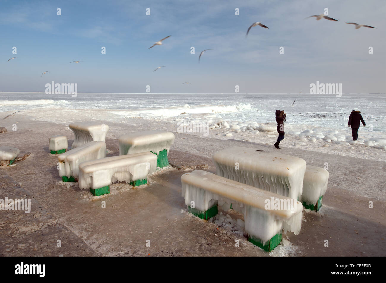 Gefrorene Cafe, ein seltenes Phänomen, Odessa, Ukraine, Osteuropa. Stockfoto