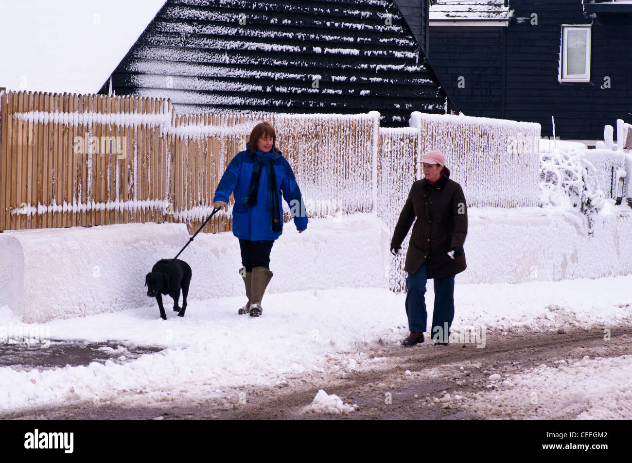 Vorderansicht einer Frau Person gehen, die ihr Hund an der Leine In die Snow Winter UK Stockfoto
