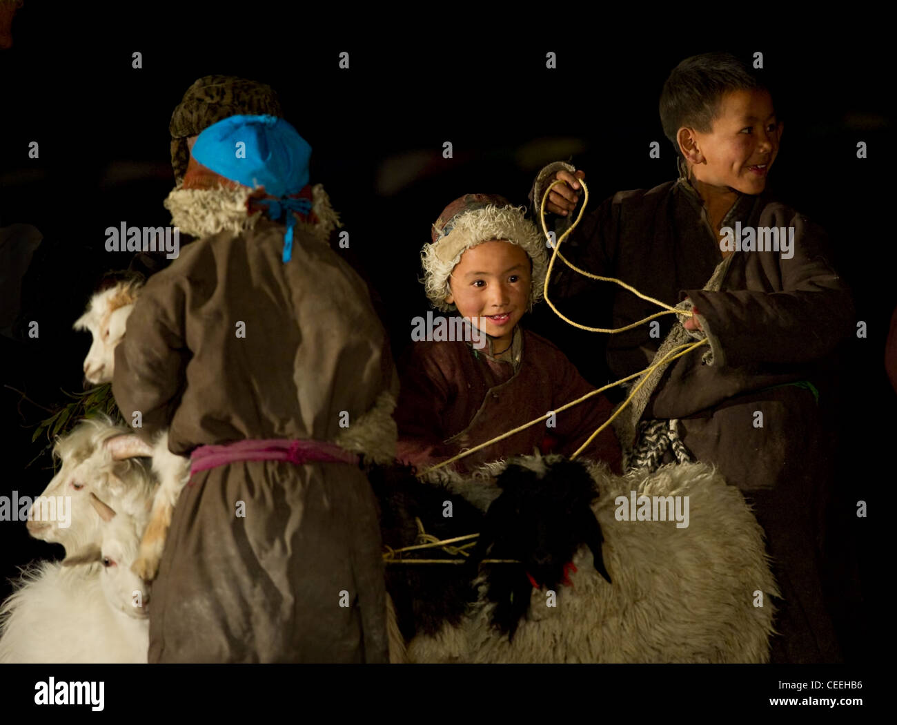 Lied und Tanz-Performance der nomadischen Kinder von Chanthang, Ladakh Stockfoto