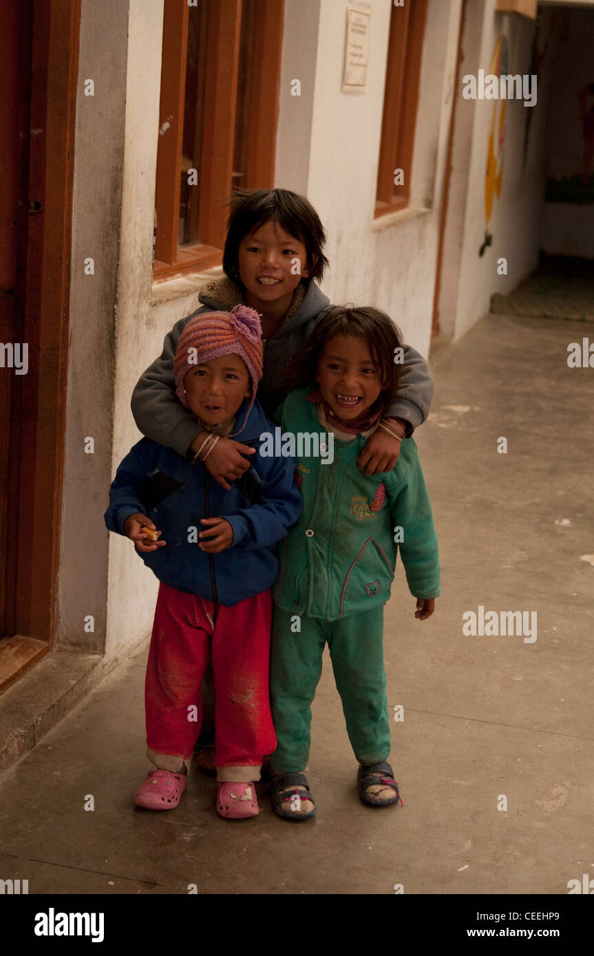 Lebensweise der Nomaden von Chanthang in Ladakh Aufzucht Pashmina Stockfoto