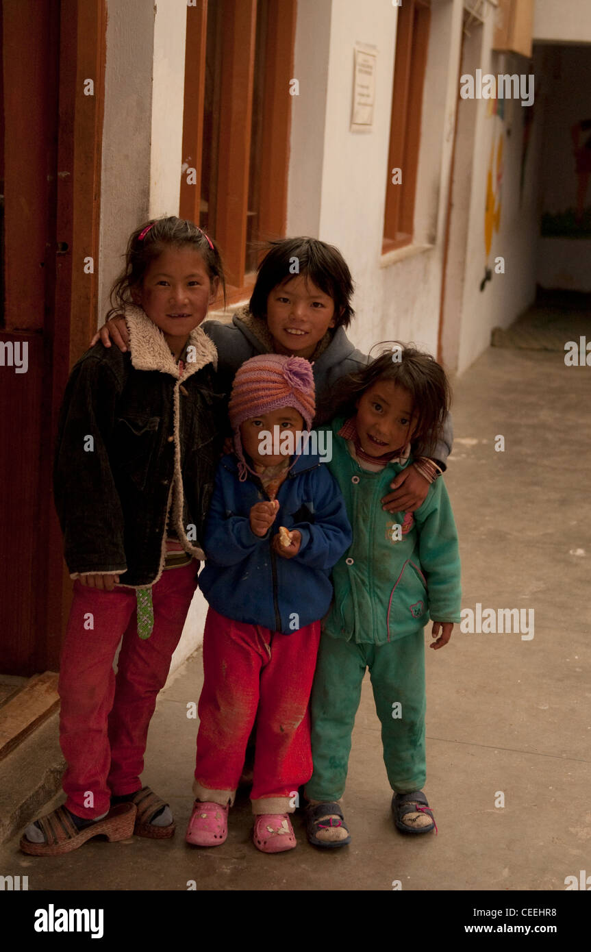 Lebensweise der Nomaden von Chanthang in Ladakh Aufzucht Pashmina Stockfoto